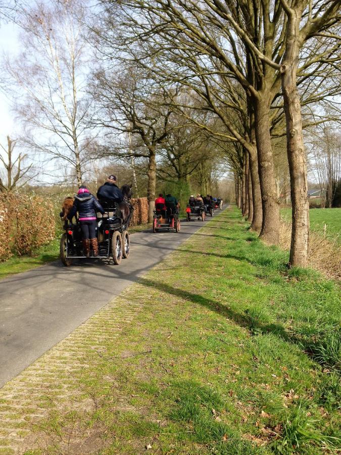 Wildenborcherhof Vorden Exterior foto